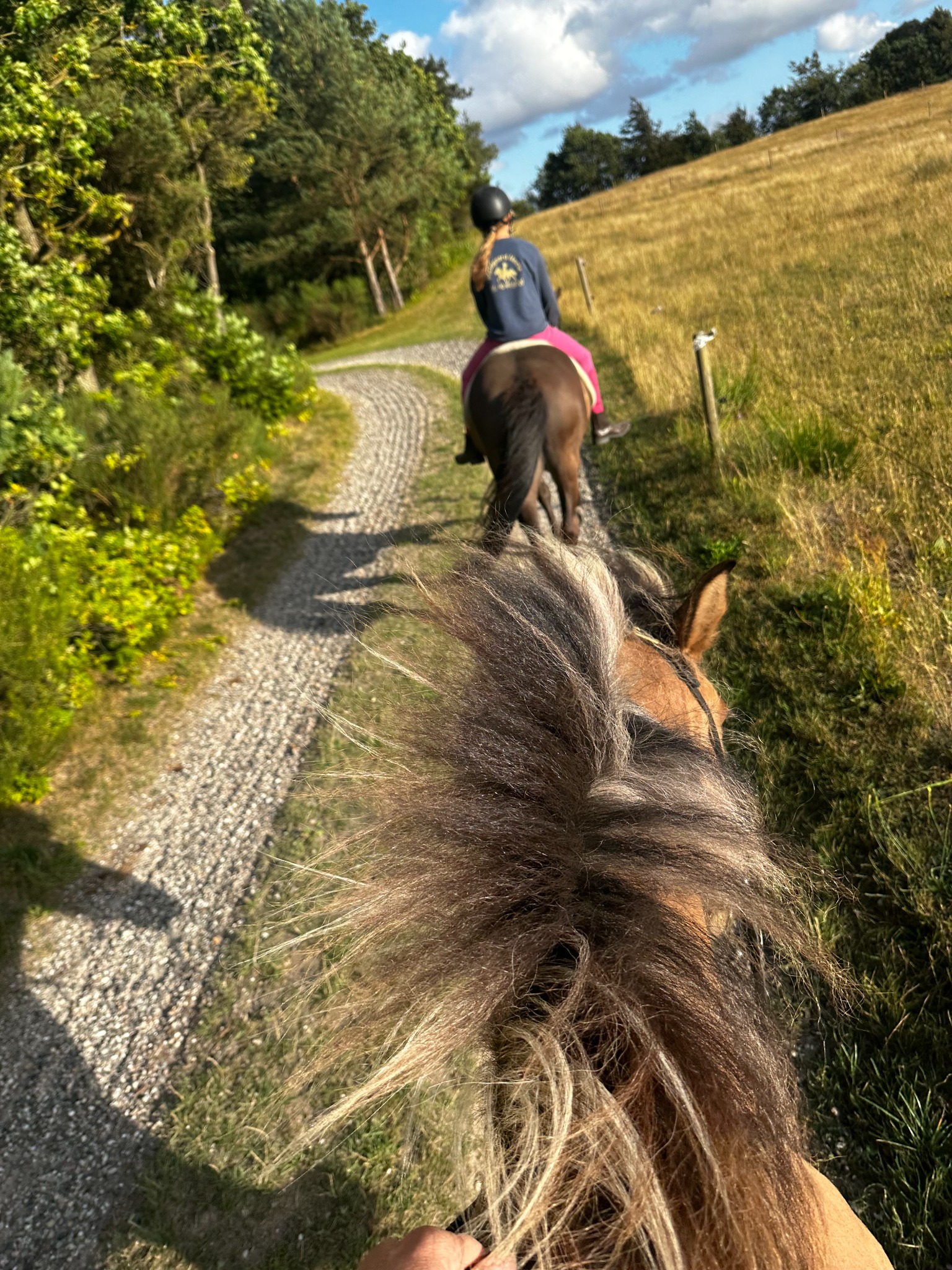 Udsigt fra hesteryg på en solrig ridetur ad en grusvej