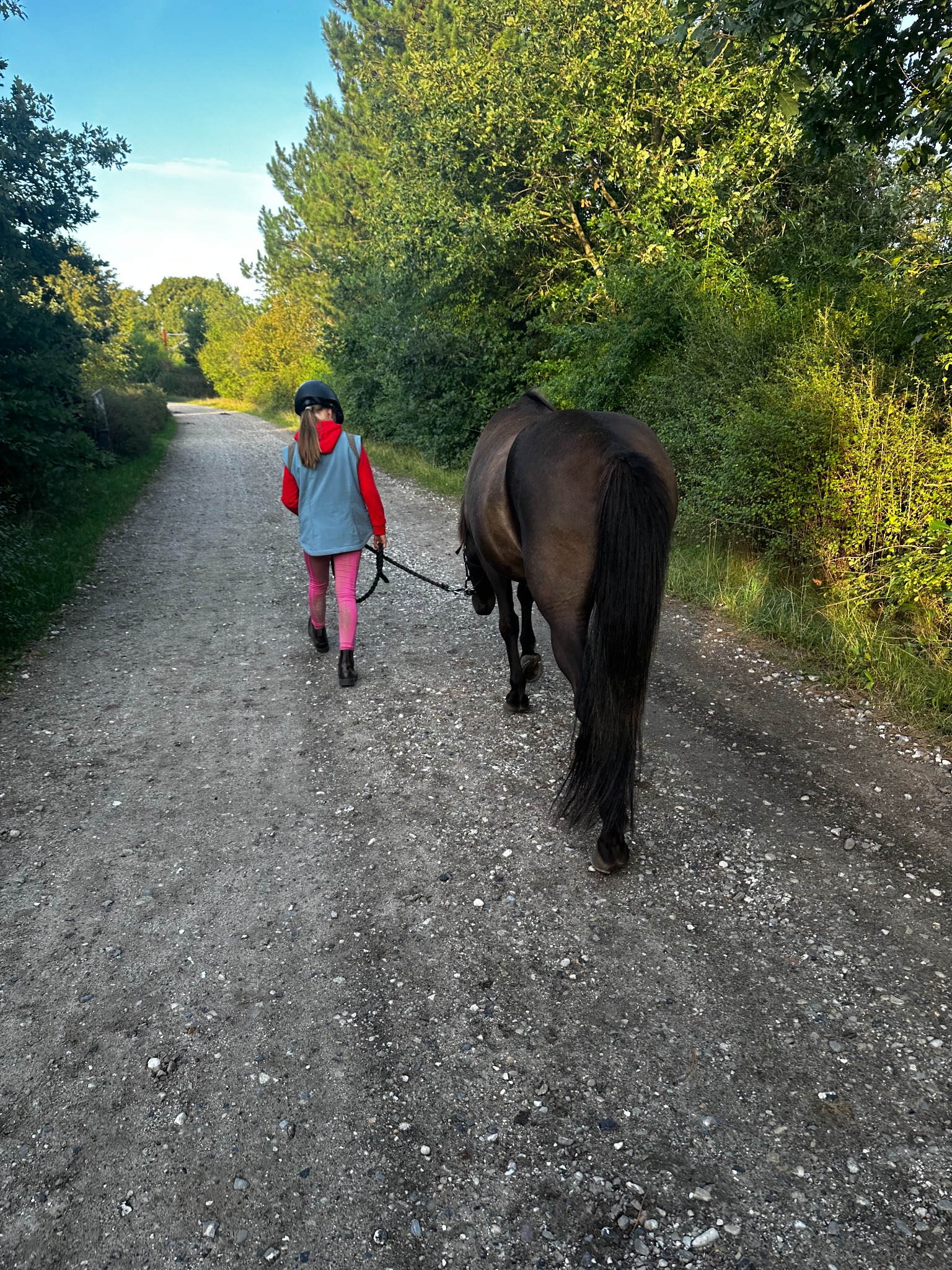 En person går roligt med en mørk hest ad en skovsti